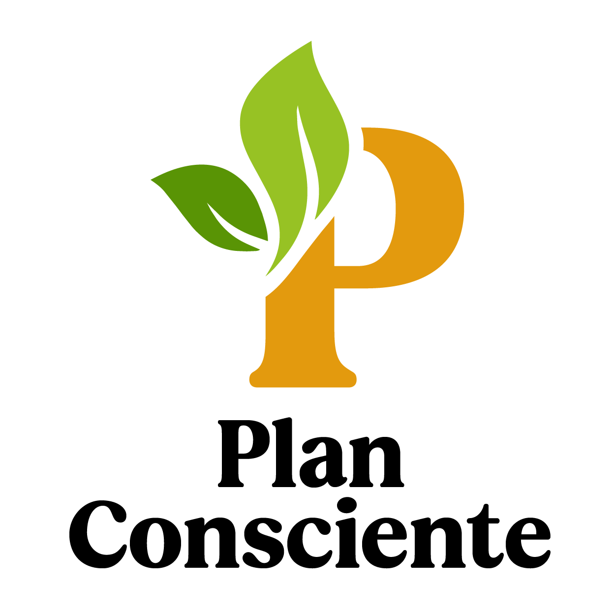 Plan Nutricional Consciente